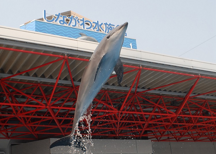 しながわ水族館