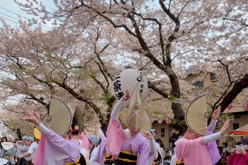 20230402-馬込大桜祭り