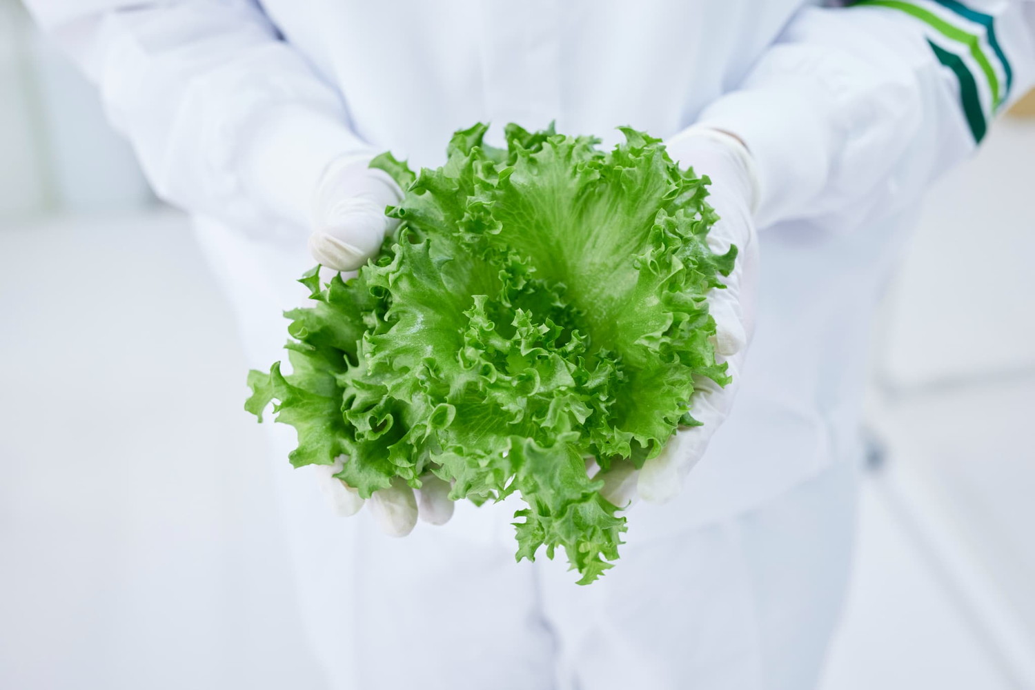 LEAF FACTORY TOKYO - おおたオープンファクトリー2024 | 11/30(土)10
