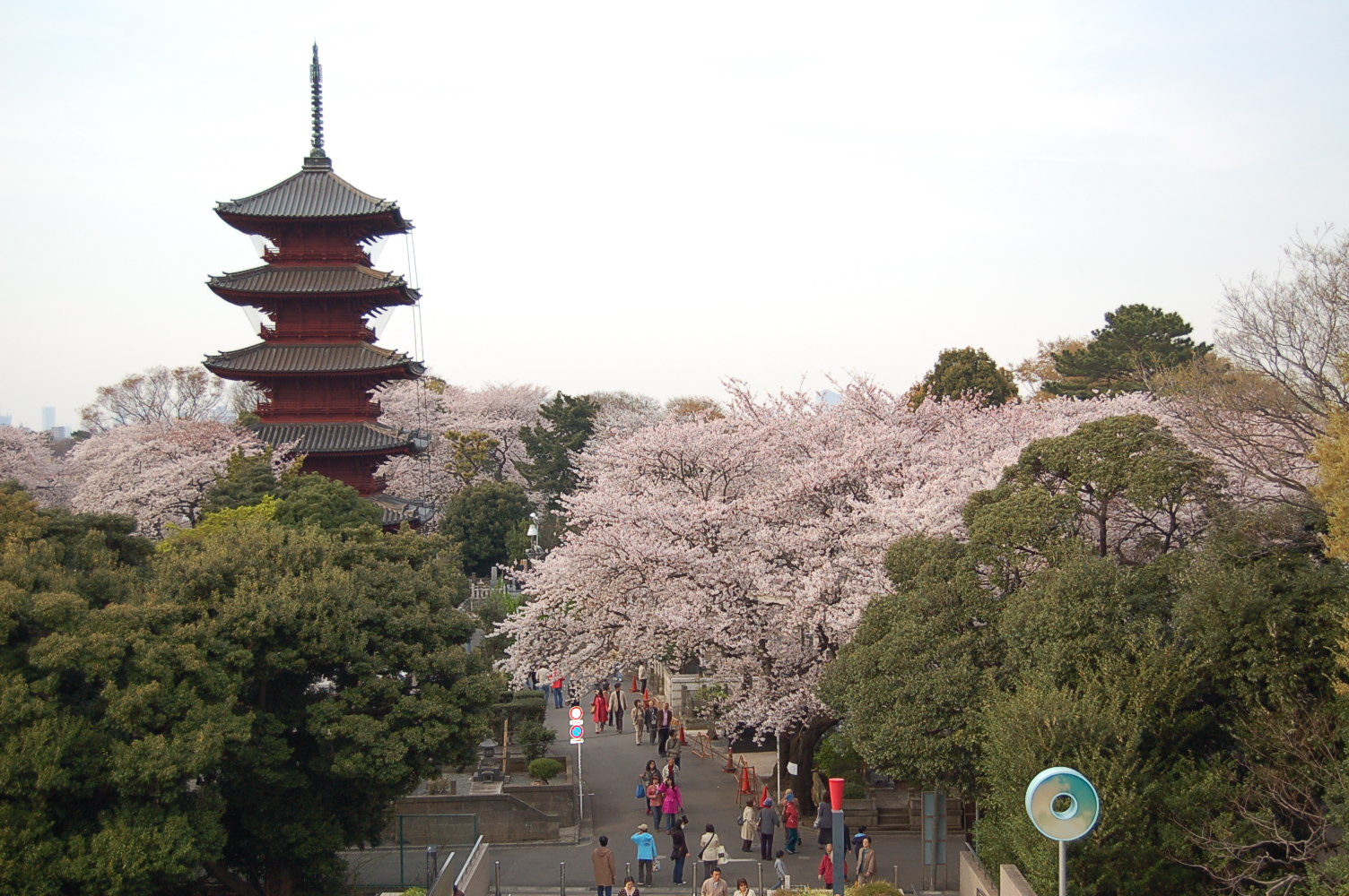 Ikegami Honmonji Temple | [Tokyo⁄Ota Tourism Association Official